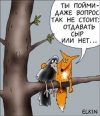 Басня "Варона и шяшлик"